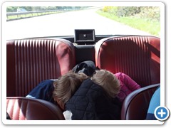 immagine (1)